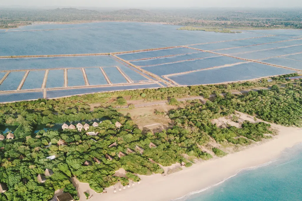 Uga Jungle Beach image 5