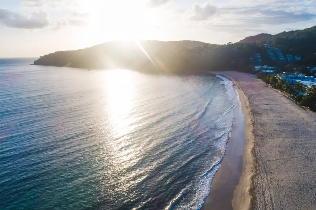 71 Hastings Street - Beachfront image 6