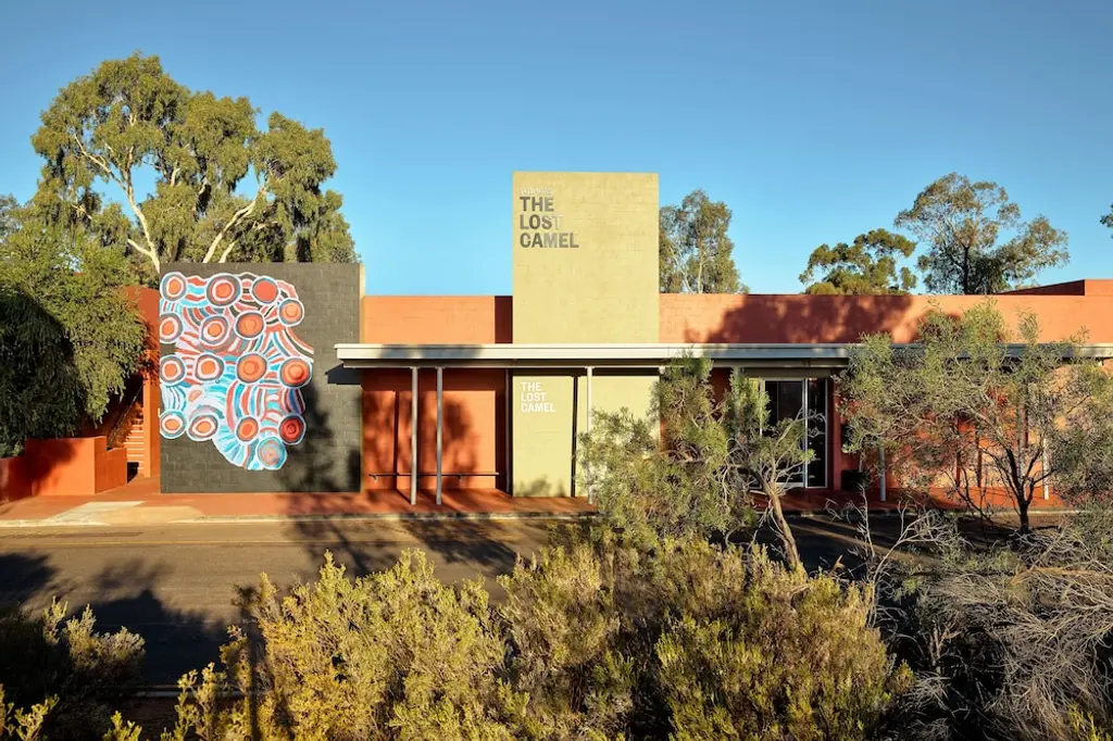 The Lost Camel image 5