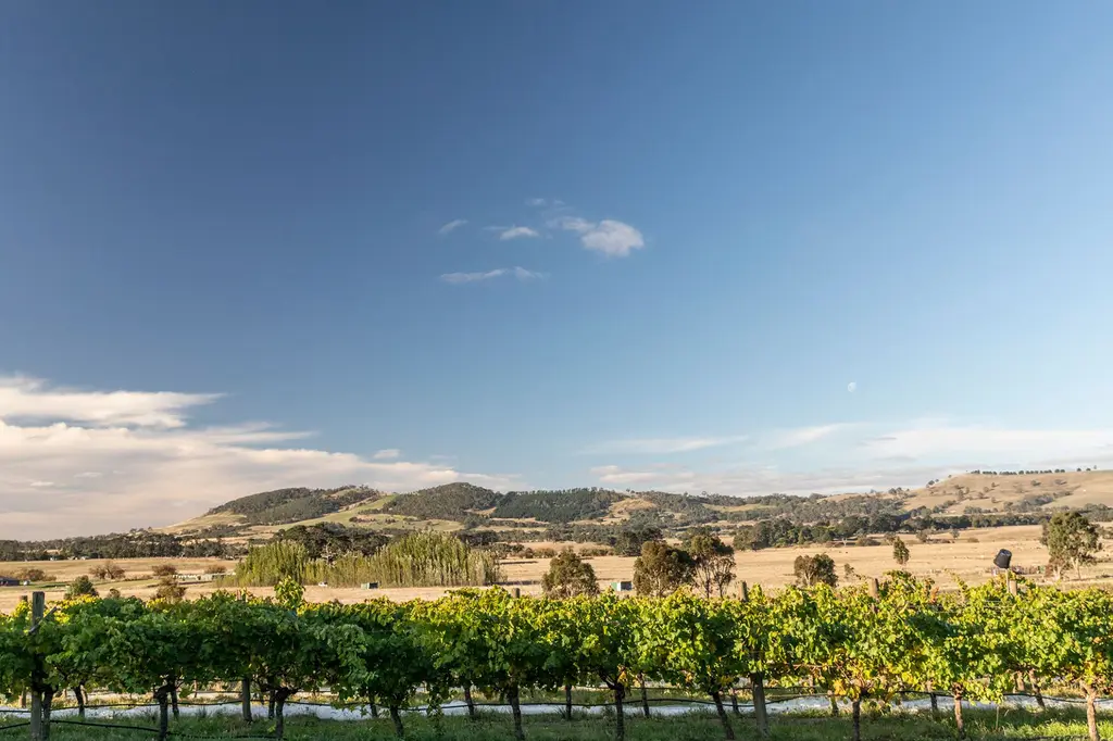 Cleveland Estate image 12