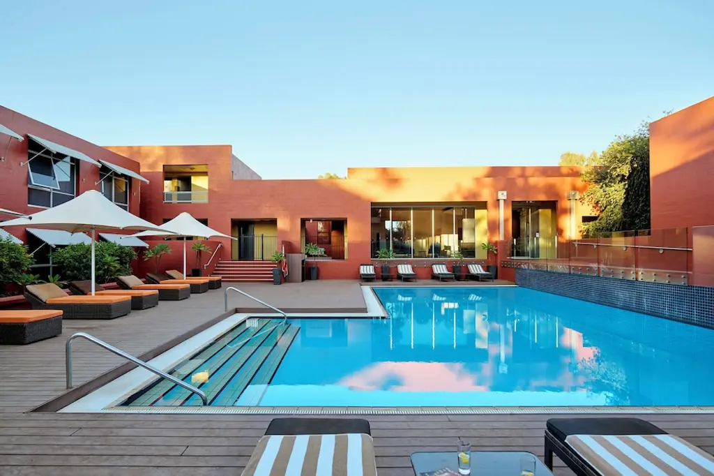 The Lost Camel image 4