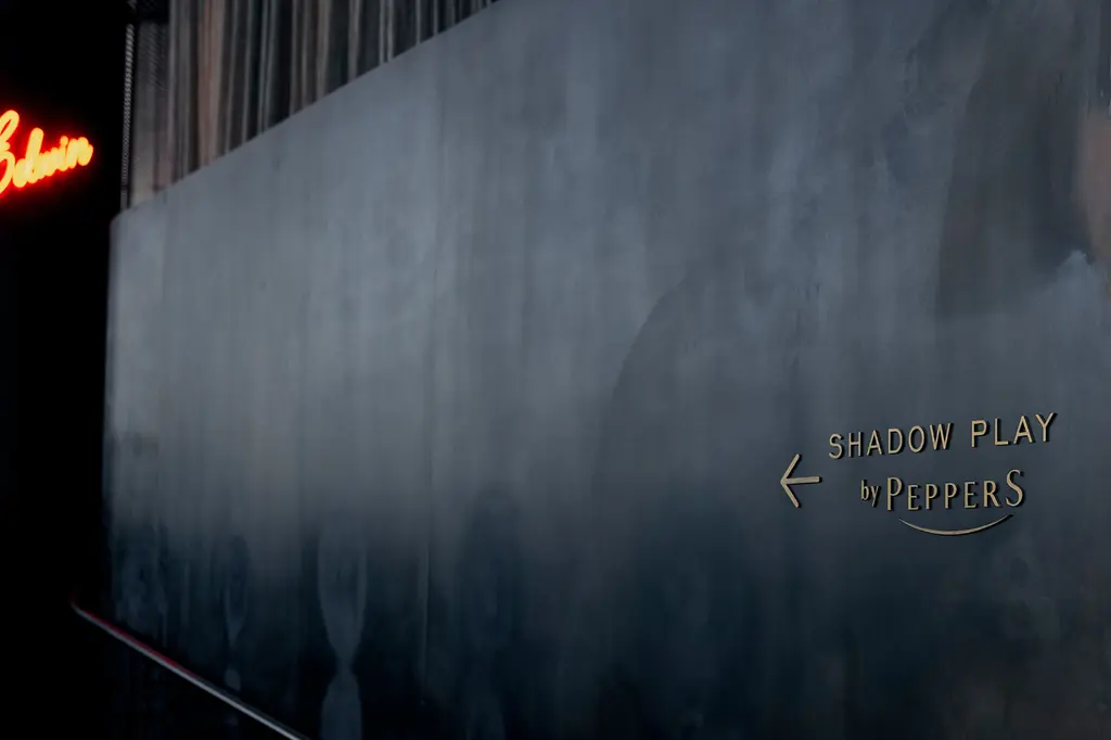 Shadow Play by Peppers image 15