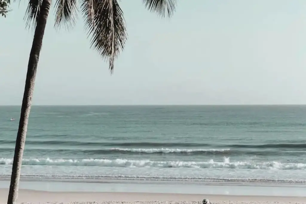 Seahaven Noosa Beachfront Resort image 6