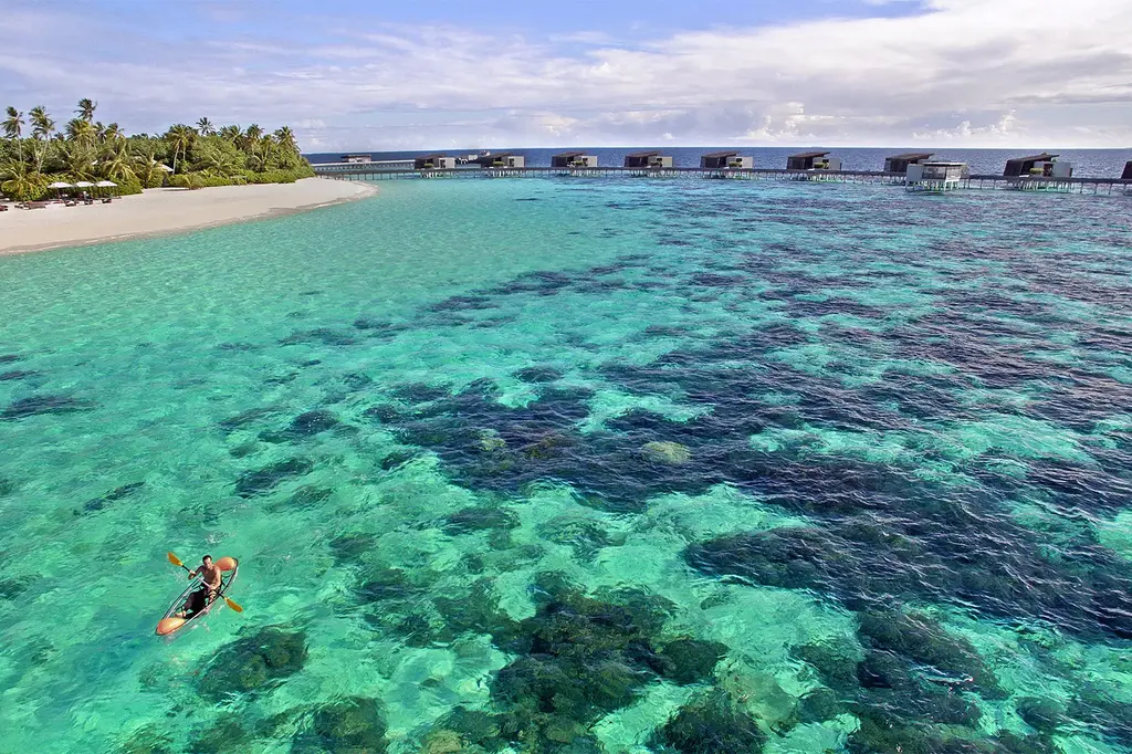 Park Hyatt Maldives Hadahaa image 20