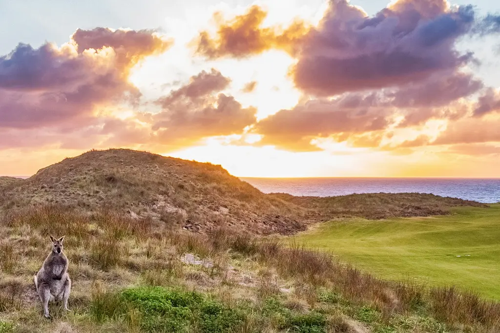 Cape Wickham Golf Links – King Island image 7