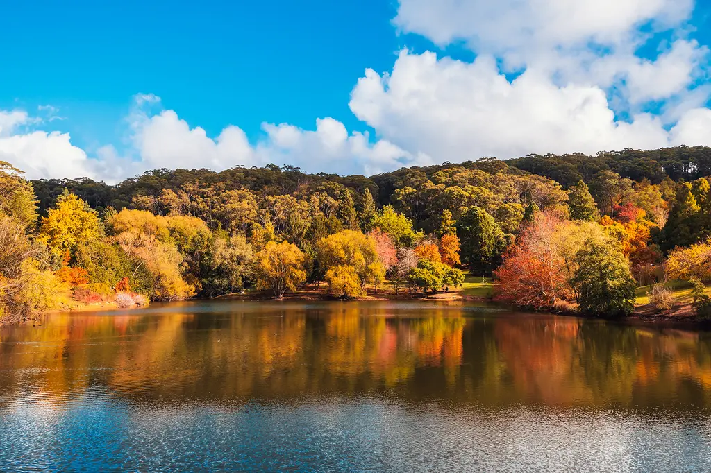CABN Hahndorf image 4