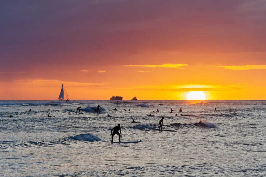 Wayfinder Waikiki image 13