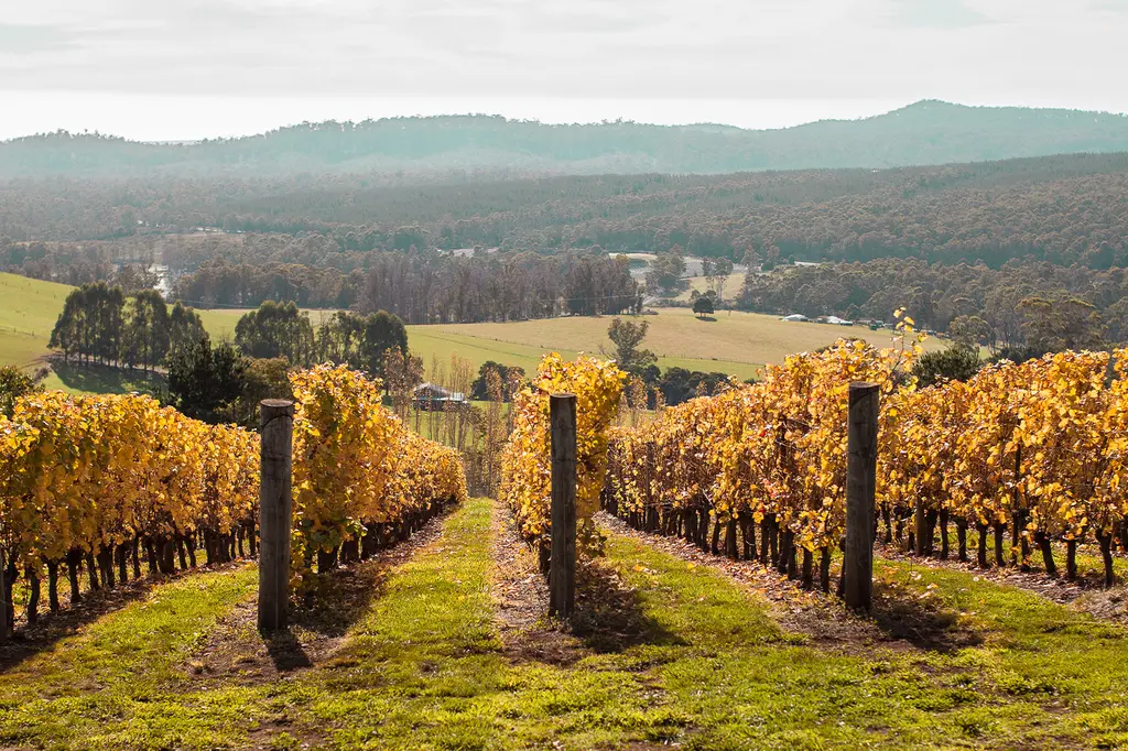 Hotel Grand Chancellor Launceston image 5