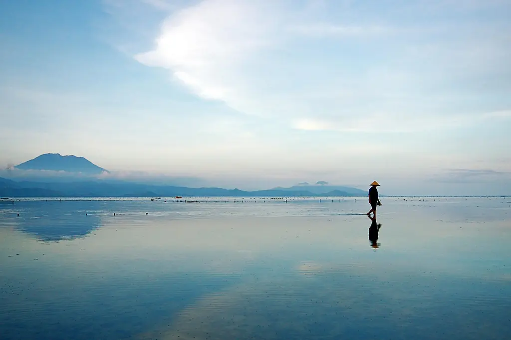 Batu Karang Lembongan Resort & Spa image 9