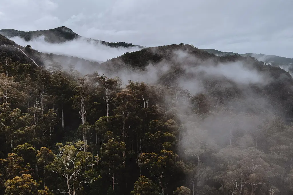 Discovery Resorts – Cradle Mountain image 8