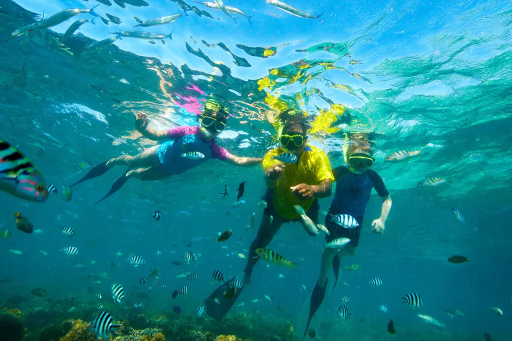 Plantation Island Resort image 8