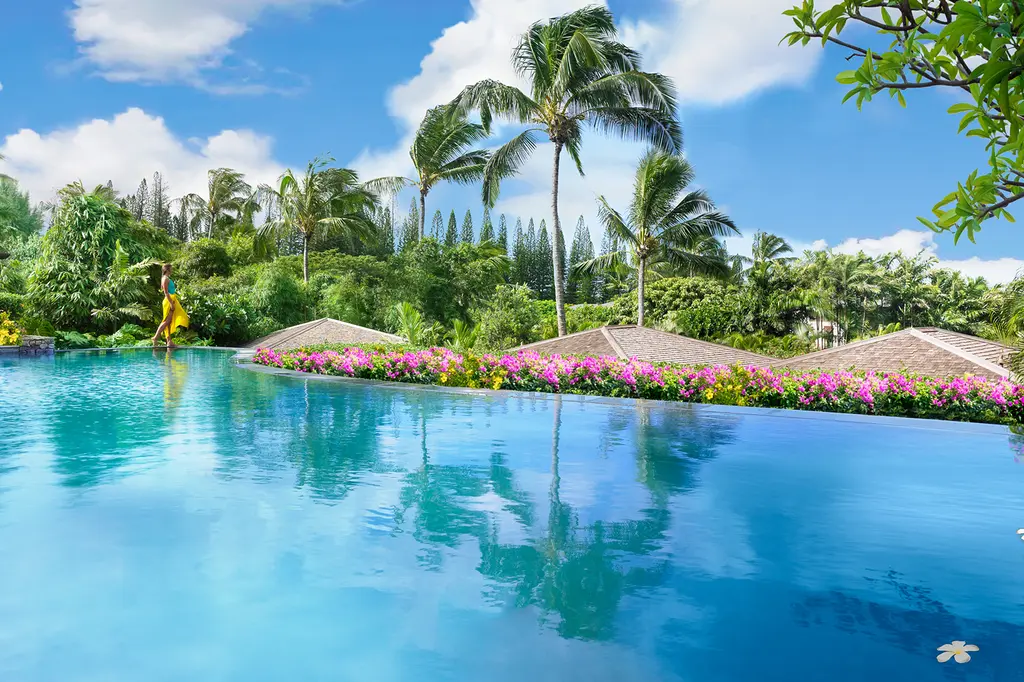 Montage Kapalua Bay image 5