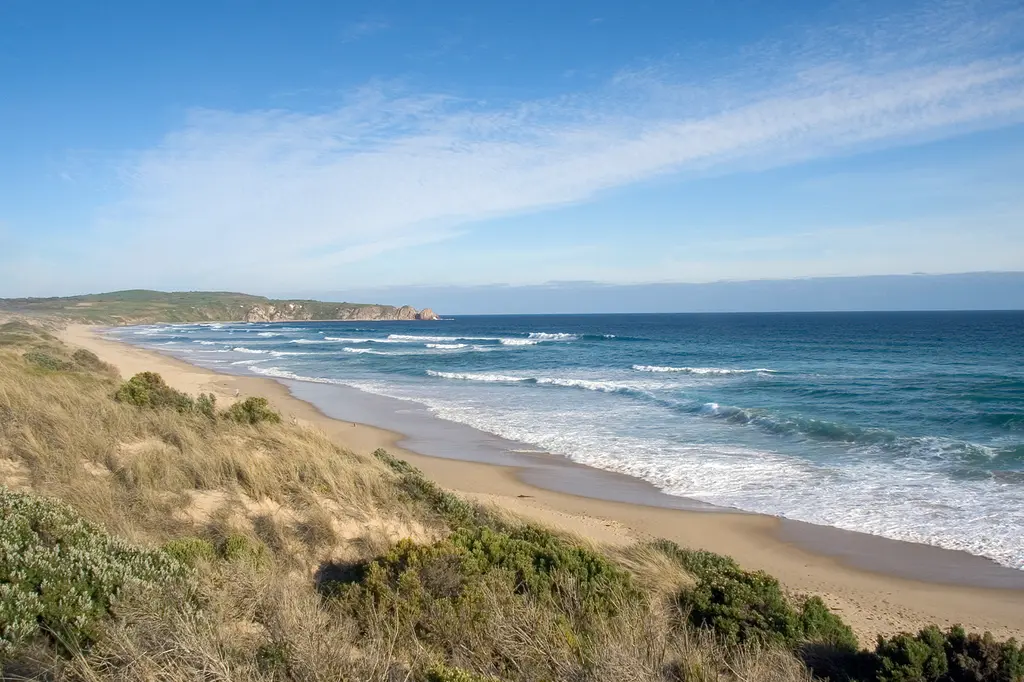 Silverwater Resort image 10