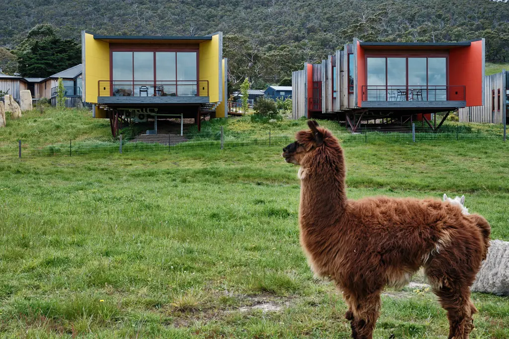 Iron Creek Bay Estate image 11