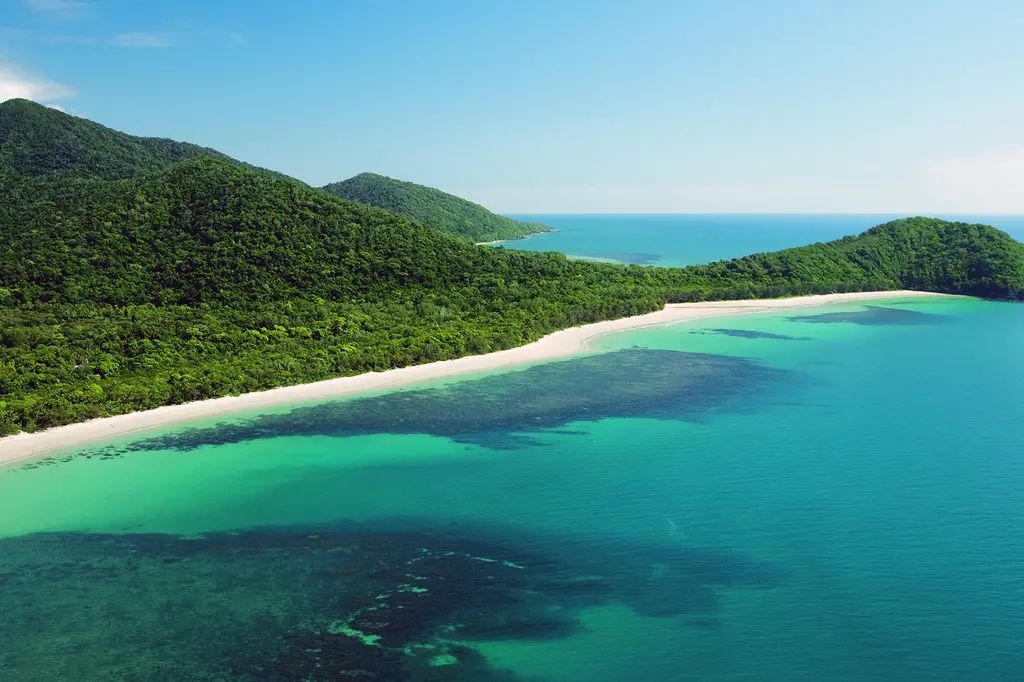 mist at Cape Tribulation image 1