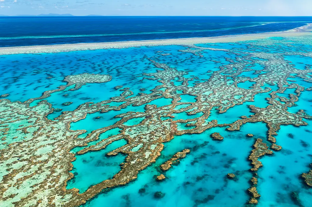 Pullman Palm Cove Sea Temple Resort & Spa image 5