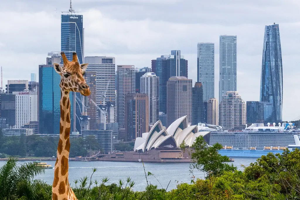 Wildlife Retreat at Taronga image 4