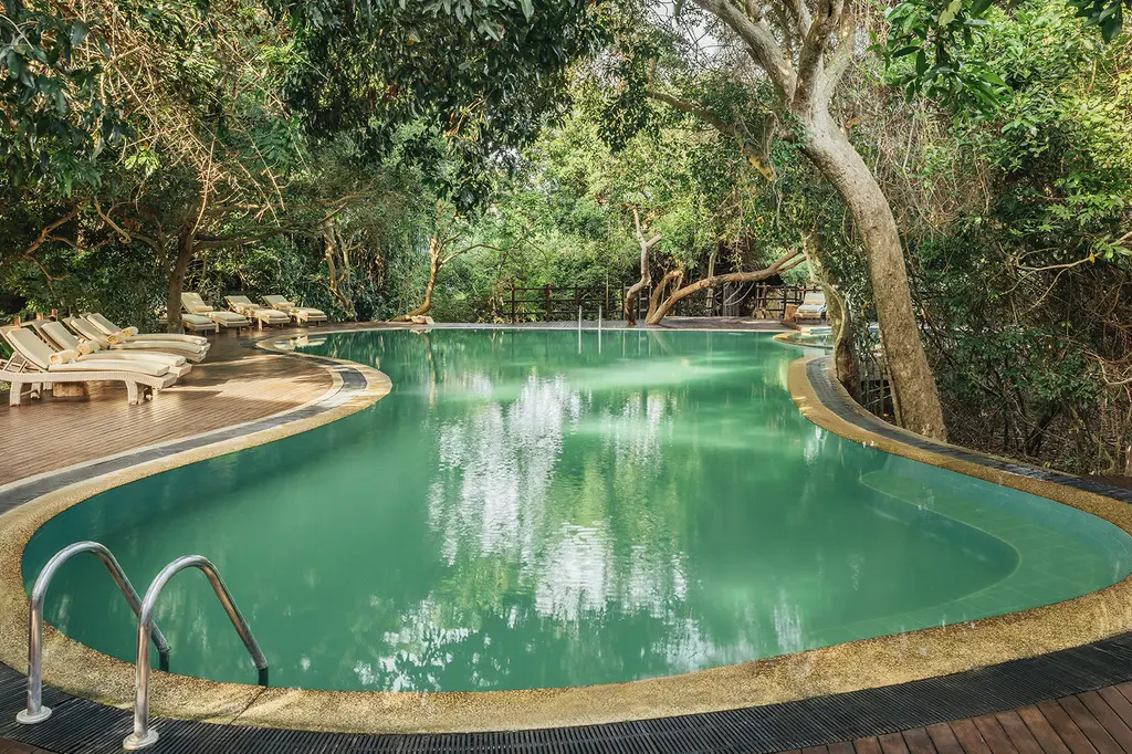 Uga Jungle Beach image 4