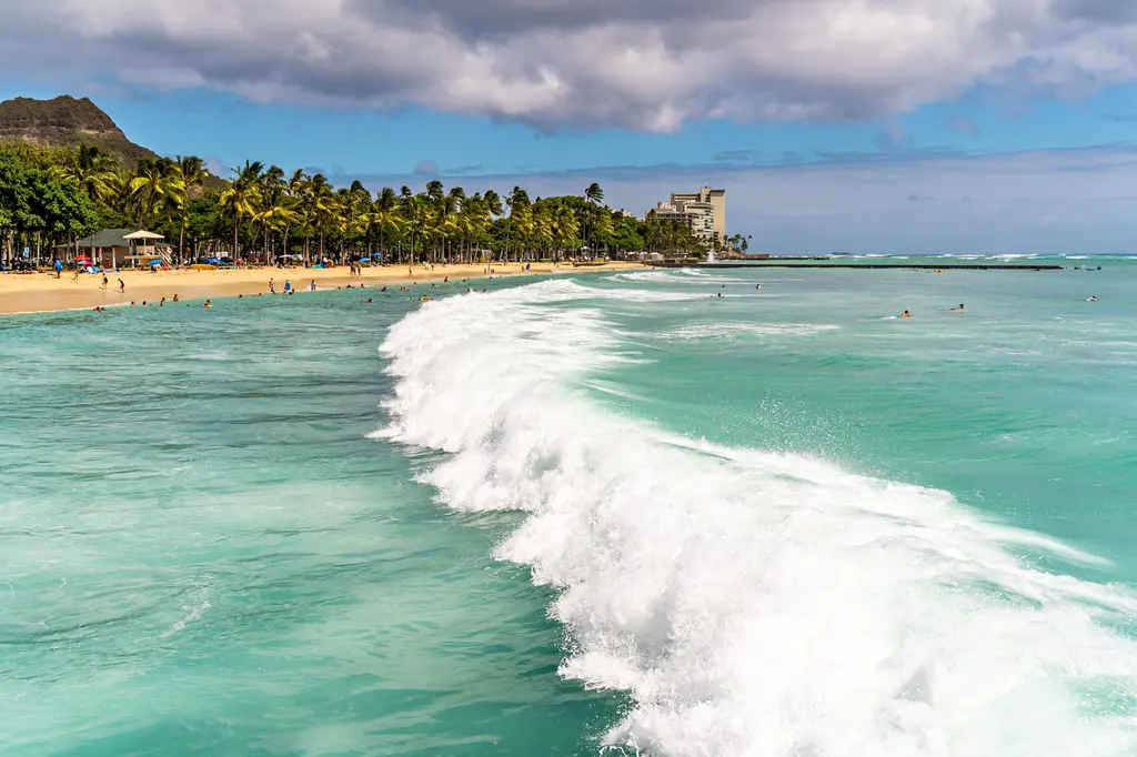 Wayfinder Waikiki image 6